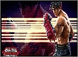 Mężczyzna, Jin Kazama, Tekken Tag Tournament 2, Neony